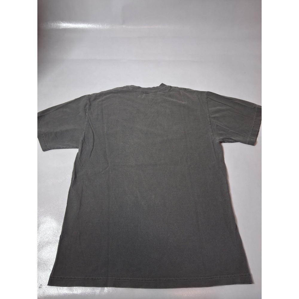 Grouplove Band T-Shirt Los Angeles Apparel Gray Graphic Tee Mens Medium - Picture 3 of 6